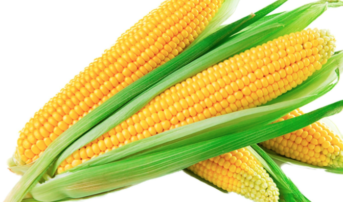 Corn and Health